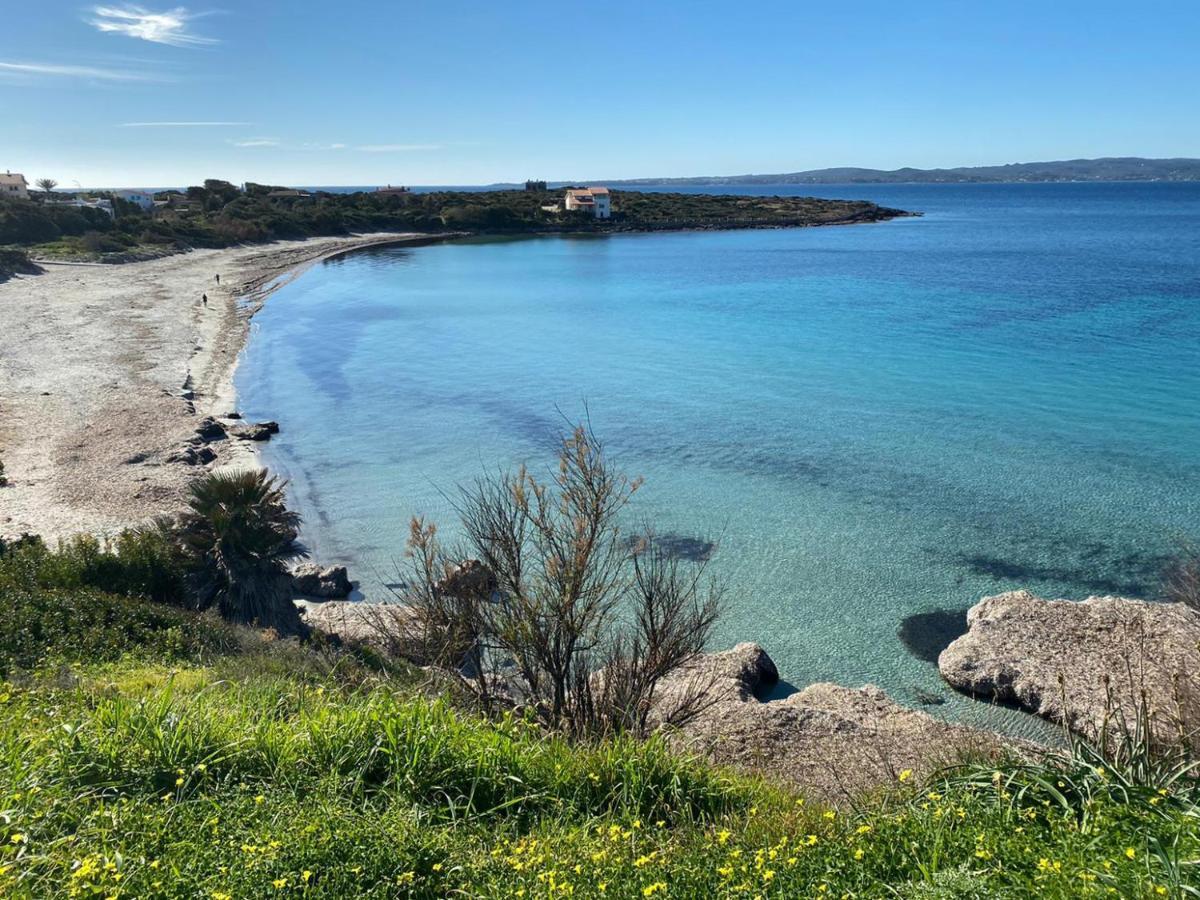 I Fenicotteri - Appartamenti Sul Mare Calasetta Ngoại thất bức ảnh